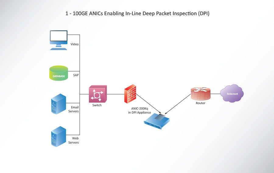1 - 100GE ANICs Enabling In-Line Deep Packet Inspection 